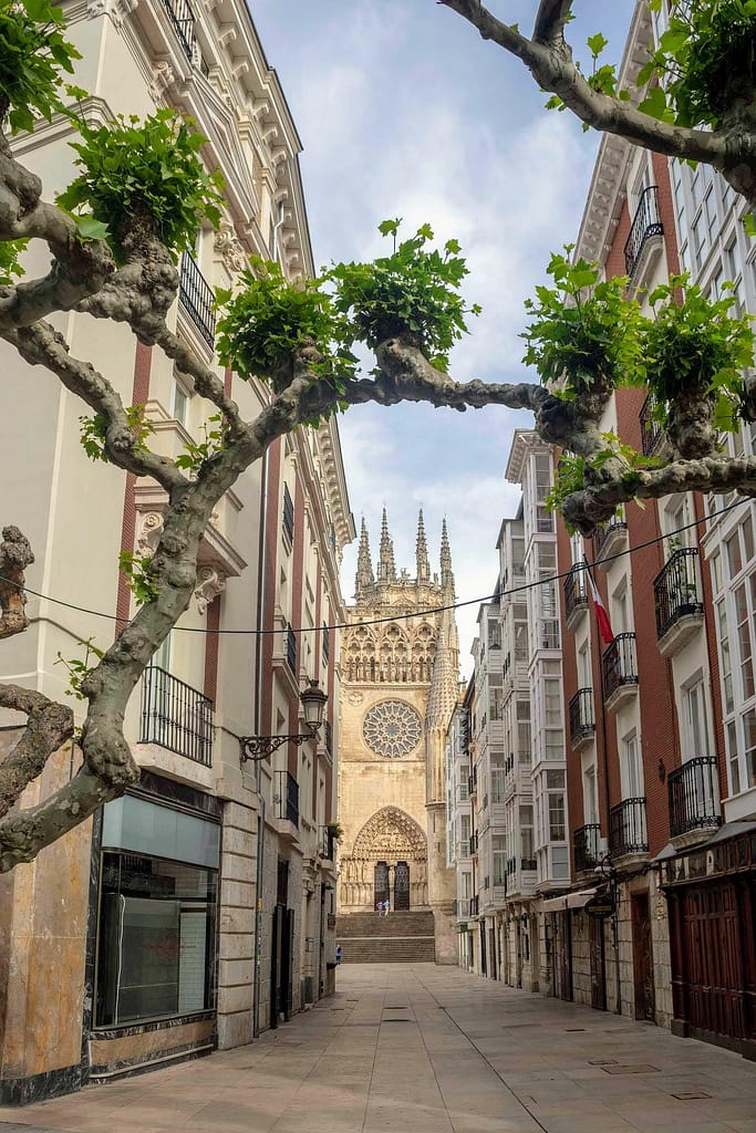 Summer travel to Europe is magical but comes with risk for illness including measles. Be sure you're up-to-date on the MMR vaccine before arriving.
