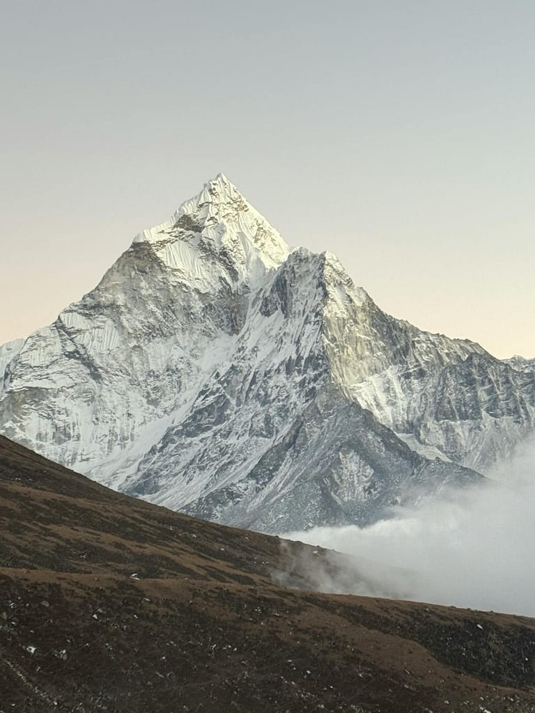 Trekking and visiting rural areas of Nepal puts you at increased risk for dog bites and rabies exposure, the rabies vaccine before departing is suggested