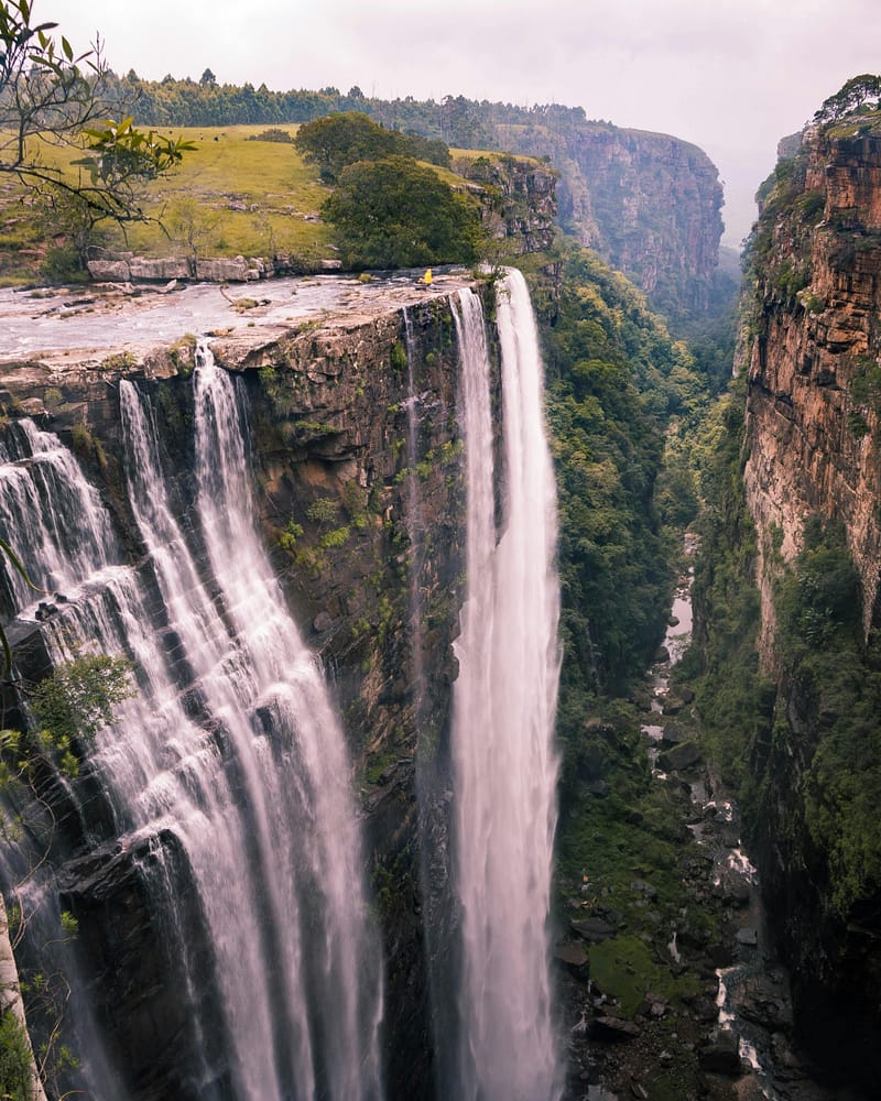 South Africa is yellow fever free but does required the yellow fever vaccine for all arriving travelers from countries at risk.