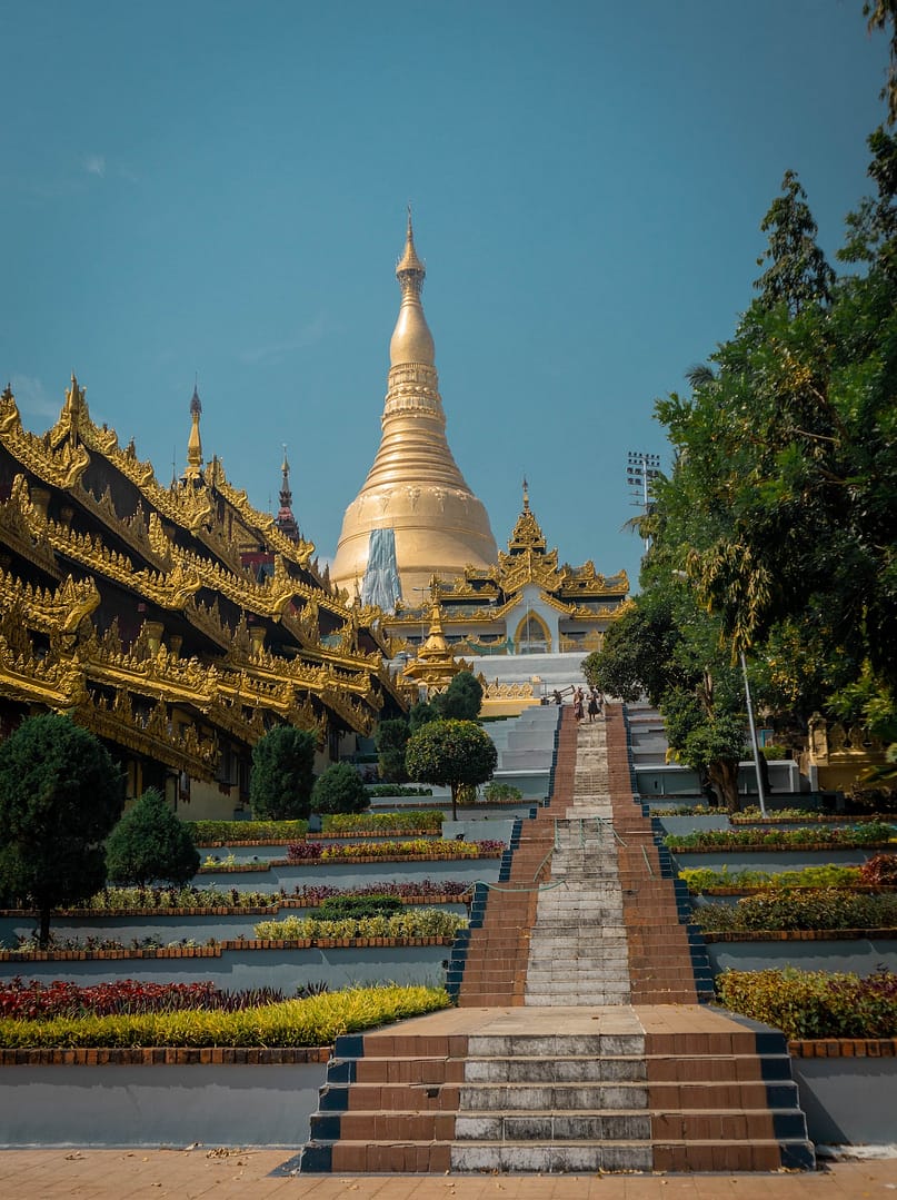 Travel to rural and urban areas of Asia can put you at risk for Japanese Encephalitis disease. A vaccine is available to prevent this dangerous mosquito illness